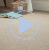 Morocco carpet video Morocco carpet video